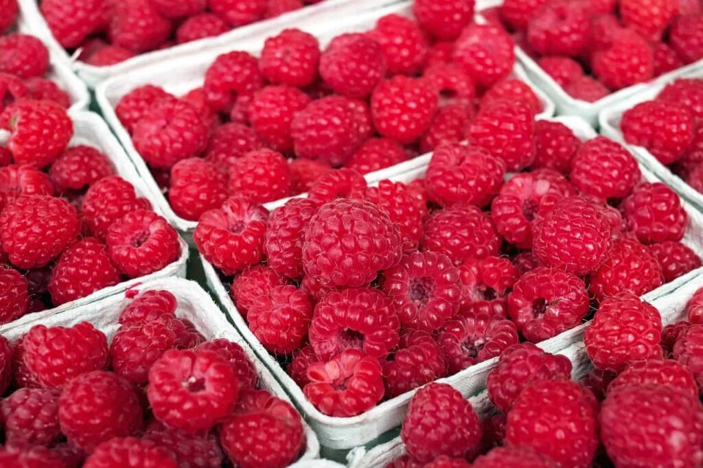 raspberries, close up, red-1465988.jpg