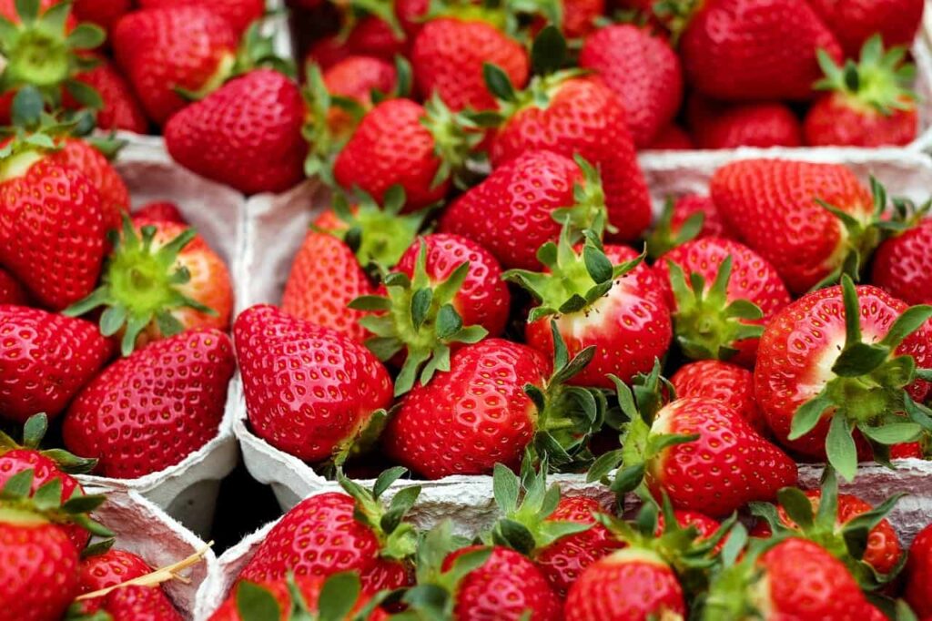 strawberries, fruit, red-1396330.jpg