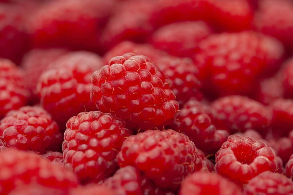 raspberry, fruit, berries-5407356.jpg
