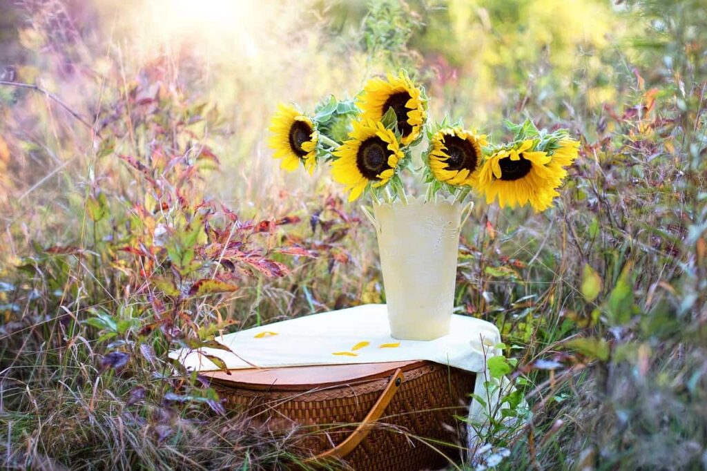 sunflowers, vase, bouquet-1719119.jpg