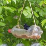 Ptasi Poidełko z Butelki Plastikowej!  DIY