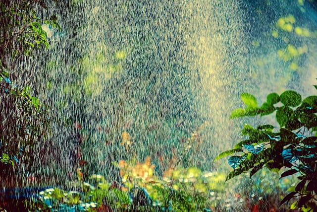 Nawadnianie ogrodu wodą deszczową ze zbiorników na deszczówkę