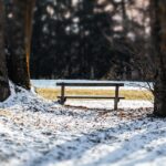 Ogród, który przetrwa każdą zimę – jak wybrać meble odporne na mróz i wilgoć?