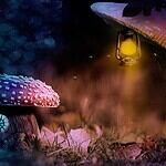 Światło w ogrodzie – jak stworzyć atmosferę i funkcjonalność po zmroku