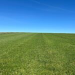 Jak trawa z rolki może poprawić wygląd przestrzeni rekreacyjnych i miejskich?