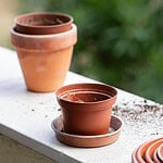 Jak zapobiegać zalewaniu roślin? Rola odpowiednich podstawek pod doniczki