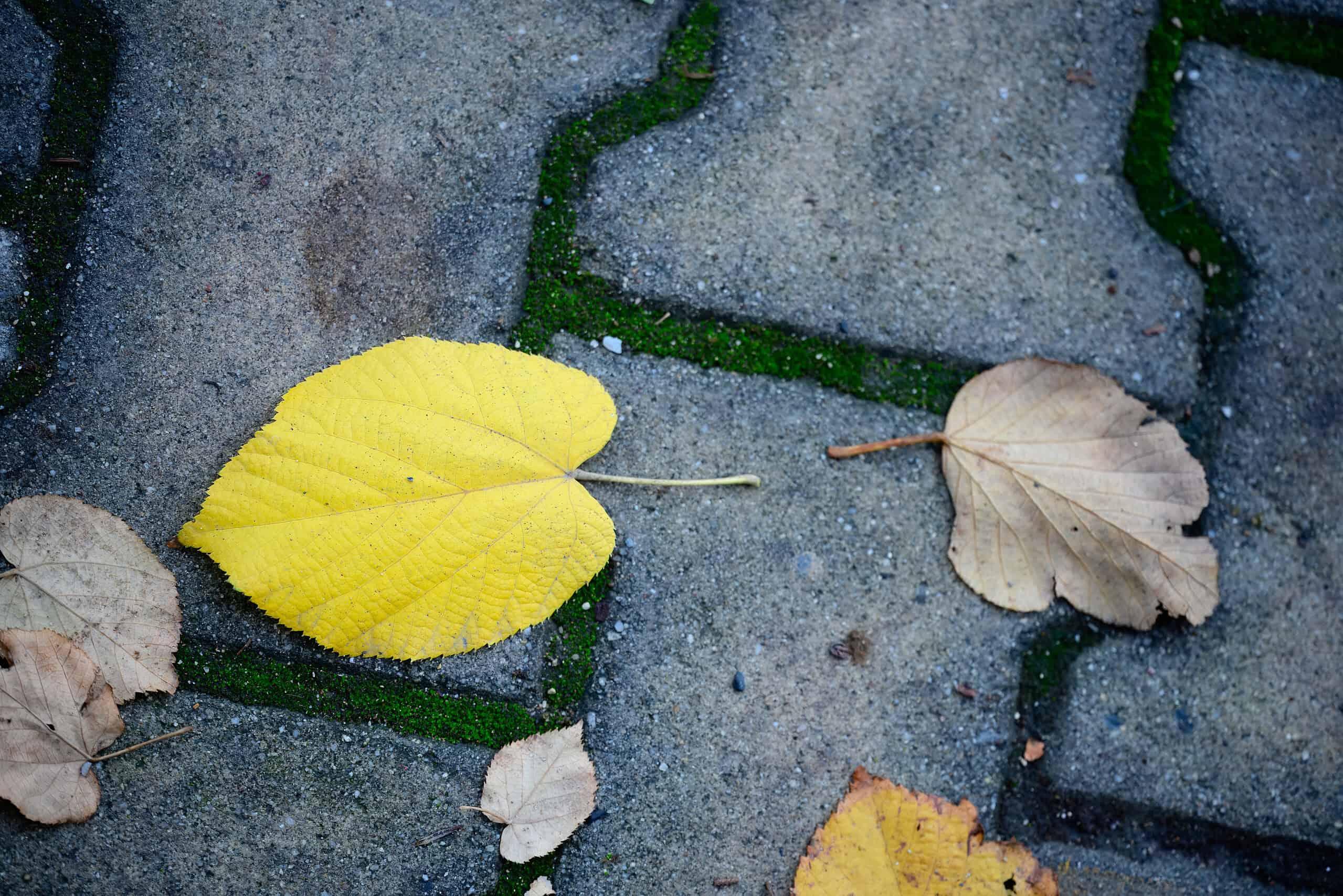 ​Rynek wtórny kostki brukowej. Analiza opłacalności, ryzyka i logistyki zakupu materiału z demontażu