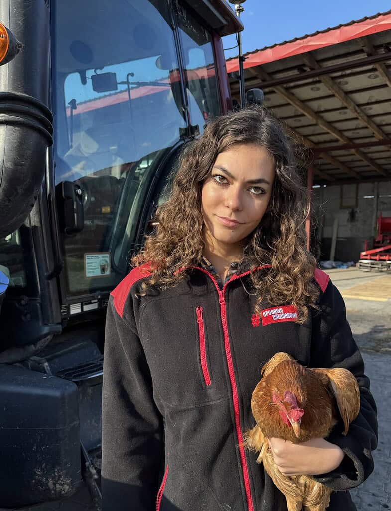 Jak wyrównać podłoże pod idealny trawnik – praktyczny poradnik