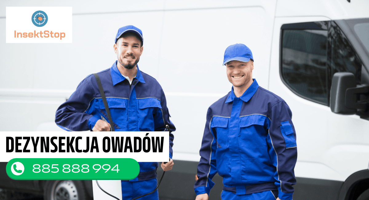 dezynsekcja pluskiew InsektStop