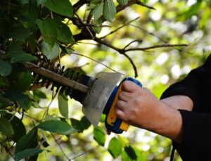 Wykorzystanie gałęzi po przycinaniu w ogrodzie – jak zoptymalizować recykling organiczny?