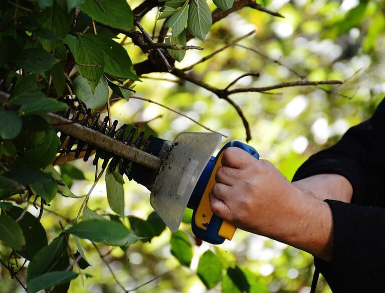 Wykorzystanie gałęzi po przycinaniu w ogrodzie – jak zoptymalizować recykling organiczny?
